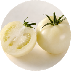 PhytoflORAL® White Tomato (Solanum Lycopersicum)